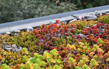 the cost of Swinefleet green roof installation