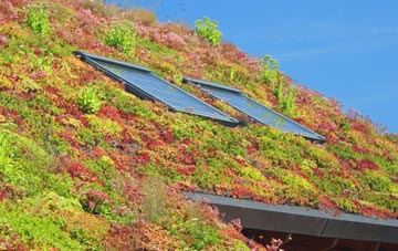 Swinefleet living roof systems